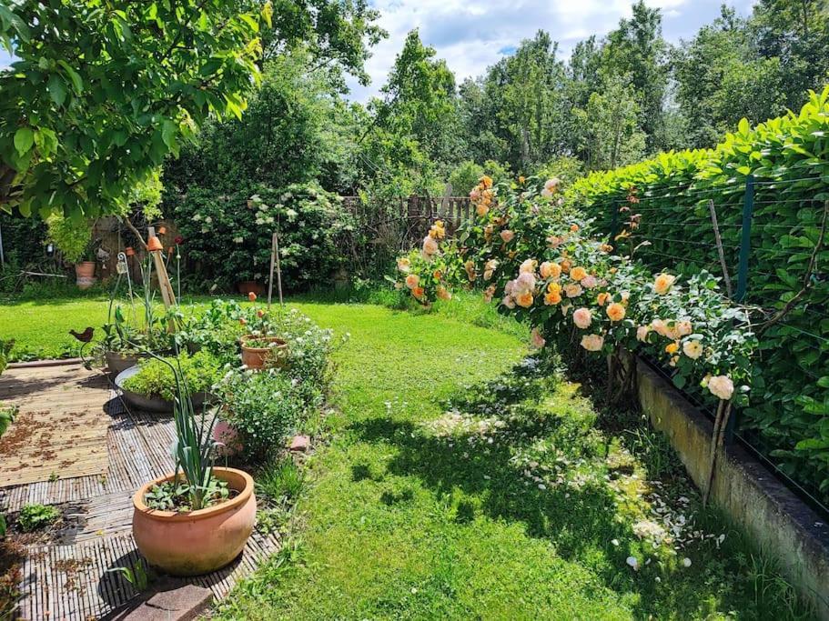 Le Jardin D'horace O Im Garten Von Horaz Apartment Volgelsheim