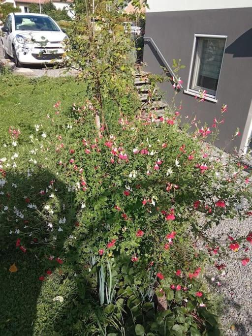 Apartment Le Jardin D'horace O Im Garten Von Horaz *