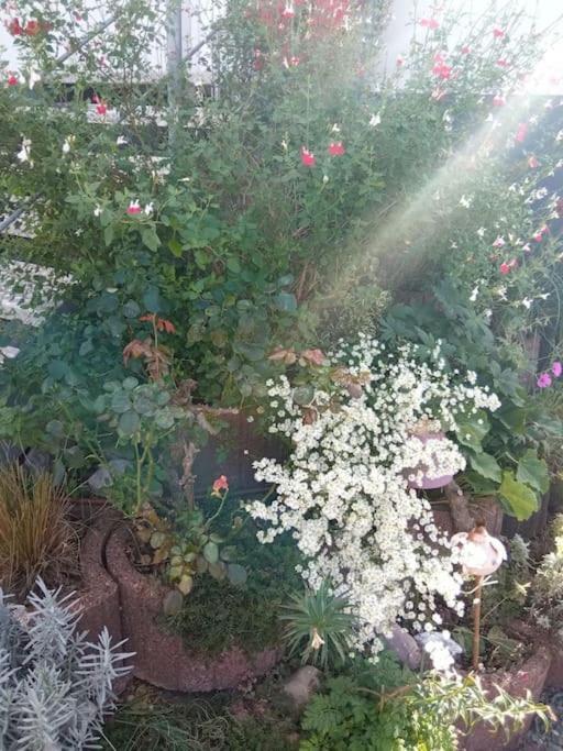 Le Jardin D'horace O Im Garten Von Horaz Apartment *