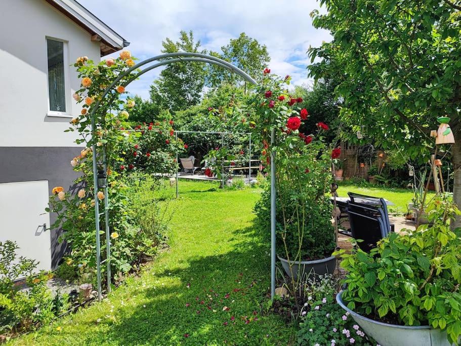 Apartment Le Jardin D'horace O Im Garten Von Horaz Volgelsheim
